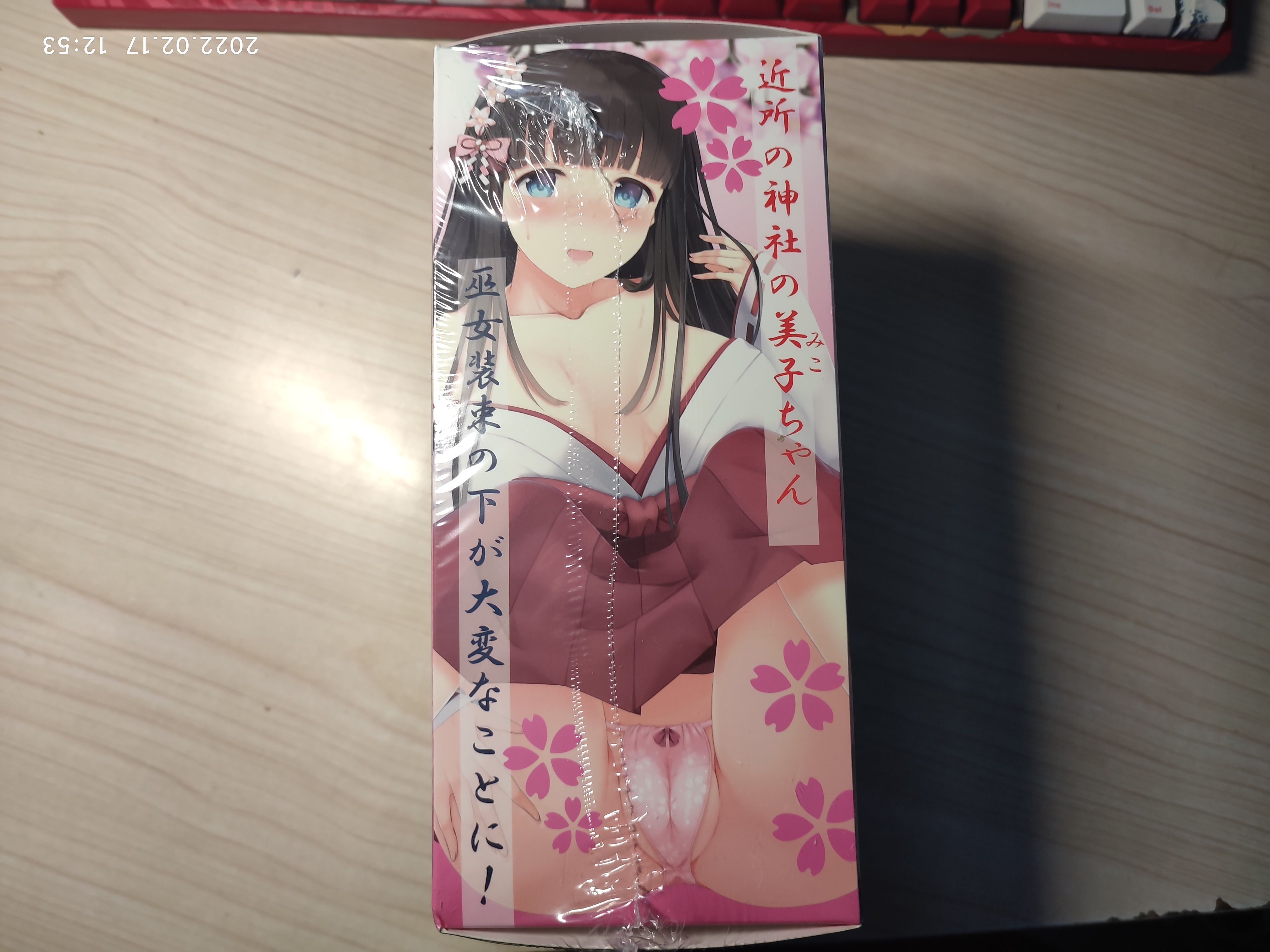 MODE巫女美子-日式巫女的子宫探索 MODE巫女美子-日式巫女的子宫探索
