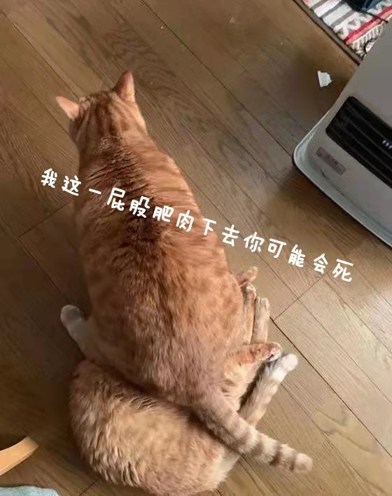 “小伙子,鹅蛋一样大的杯子你“尝过”没?”—紧致肉蛋(中低刺激)评测 “小伙子,鹅蛋一样大的杯子你“尝过”没?”—紧致肉蛋(中低刺激)评测