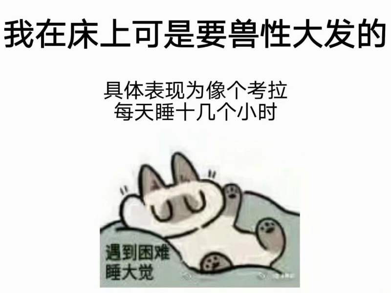 “为你两肋插管”— 哈利路亚(中高刺激)评测 “为你两肋插管”— 哈利路亚(中高刺激)评测