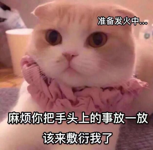“翻转吧魔法娘!”— 魔法娘(中稍高刺激)评测 “翻转吧魔法娘!”— 魔法娘(中稍高刺激)评测