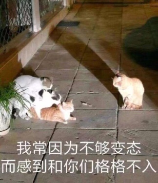 “不会物理的蠕虫怪不是一个好旗袍娘(大雾)”— 旗袍娘(中刺激)评测 “不会物理的蠕虫怪不是一个好旗袍娘(大雾)”— 旗袍娘(中刺激)评测