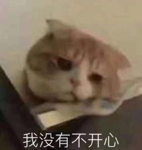 “我不看这些的.jpg”— exe 桥本有菜评测 “我不看这些的.jpg”— exe 桥本有菜评测