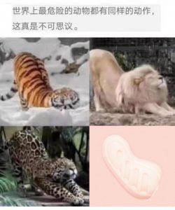 “我的*宫恋爱物语果然有问题!”—弯曲*宫评测 “我的*宫恋爱物语果然有问题!”—弯曲*宫评测