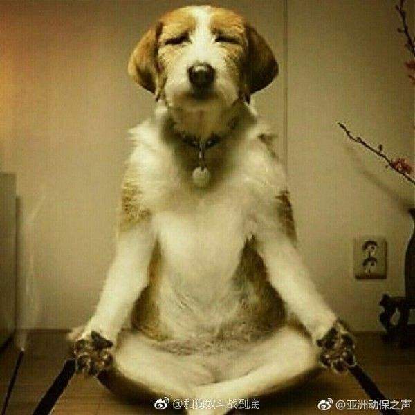 “又一位筋肉小姐姐!”—柔肌快感/螺旋四重奏 HARD版评测 “又一位筋肉小姐姐!”—柔肌快感/螺旋四重奏 HARD版评测