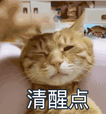 在五星级希尔顿的行政套房里玩YUU的“小优物语”是怎么样的感受？-萌次元