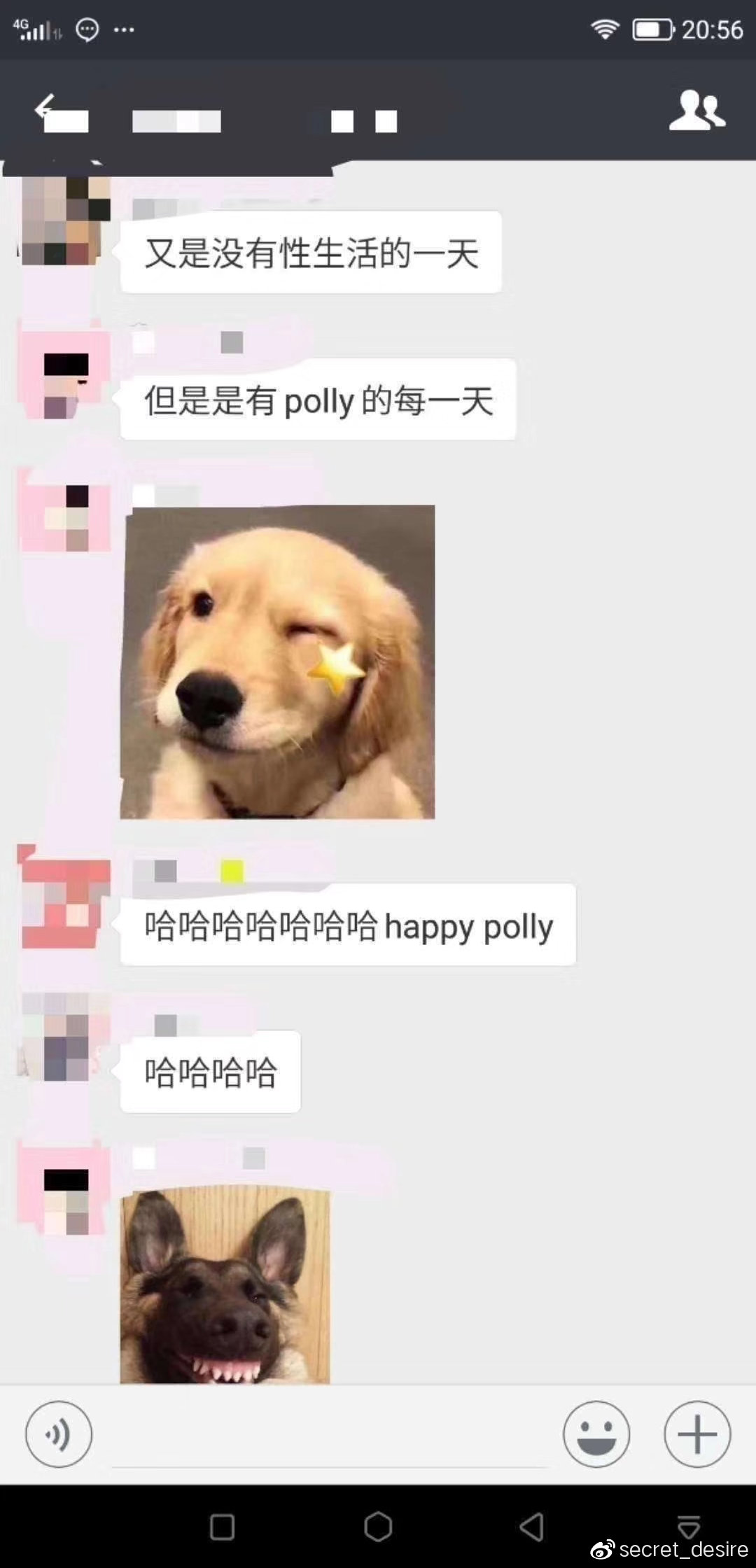人手一根的polly到底是何方神圣?-萌次元
