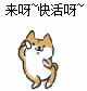 初恋穿戴玩具测评，让女票体验一把电影女主的感觉-萌次元