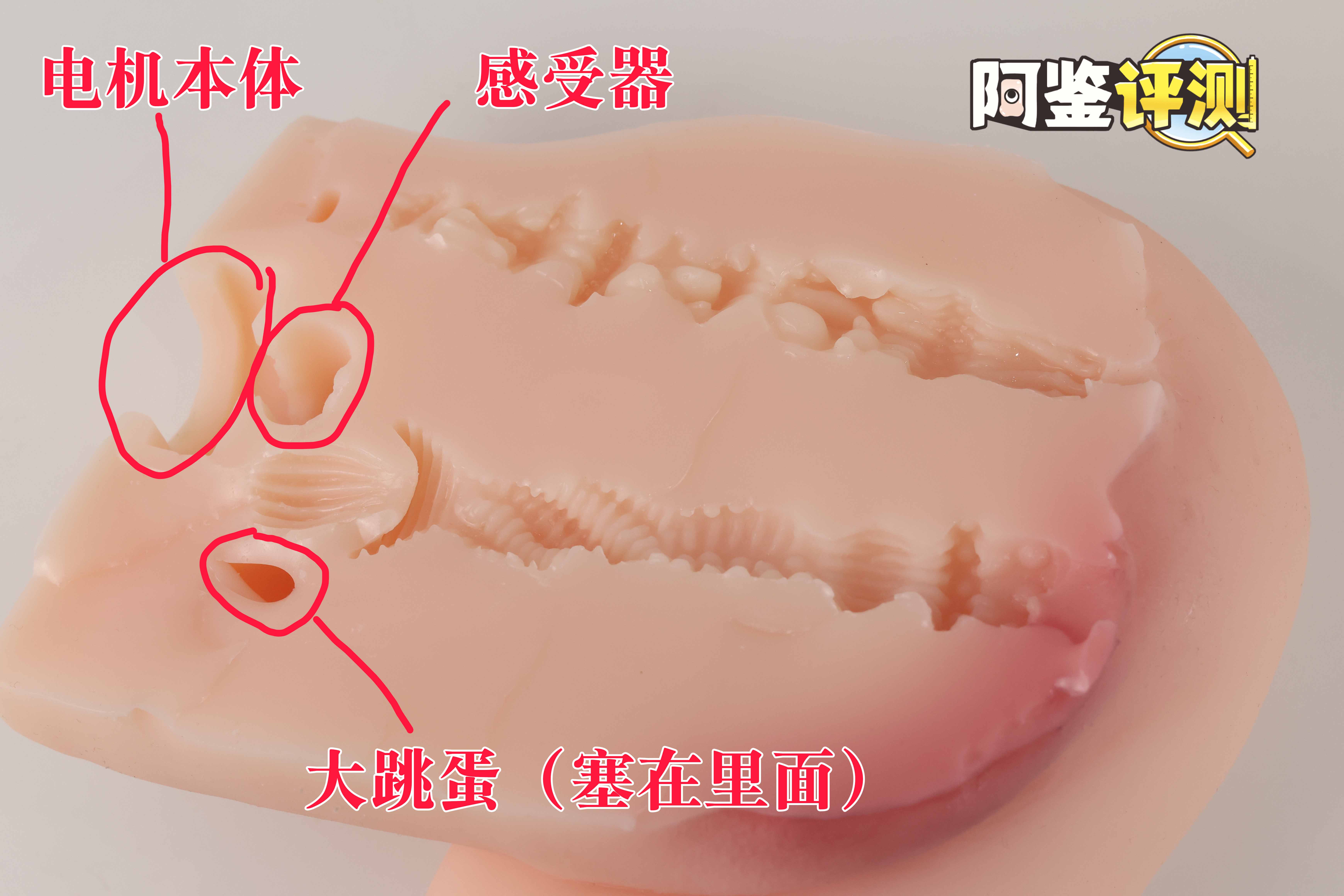 趣网COC——“杯魔女”评测!屁股就是用来拍的!爆笑流“抖动”臀模! 趣网COC——“杯魔女”评测!屁股就是用来拍的!爆笑流“抖动”臀模!