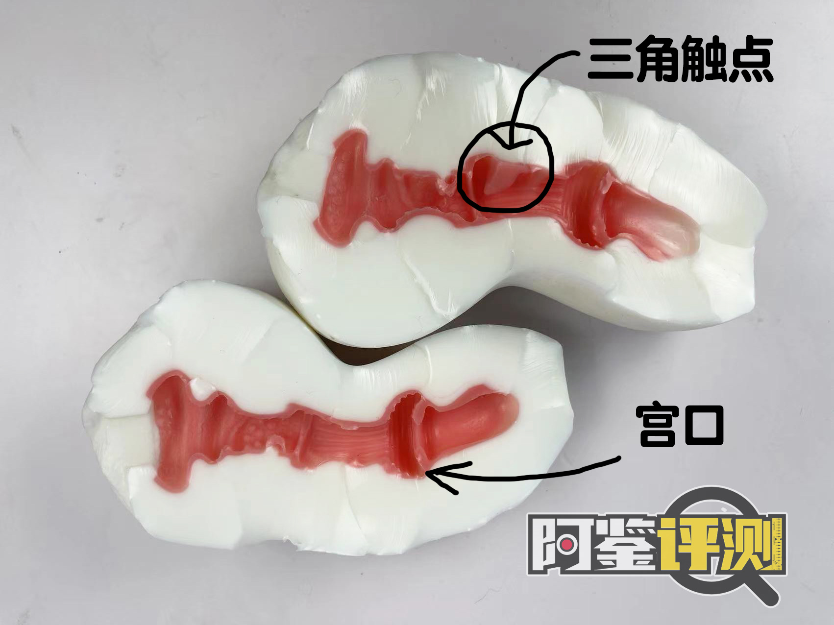 GXP-“觉醒子宫“(中高刺激)评测!白色的雪山妖精,更高的硬质感刺激? GXP-“觉醒子宫“(中高刺激)评测!白色的雪山妖精,更高的硬质感刺激?