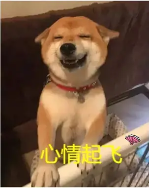高性价比的真实口感-杯多多真实之口评测-萌次元