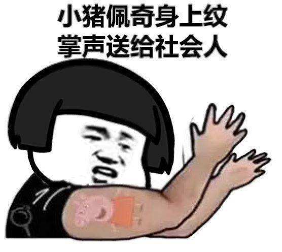 YUU宫花评测 – 喜欢倒模不会是坏人-萌次元