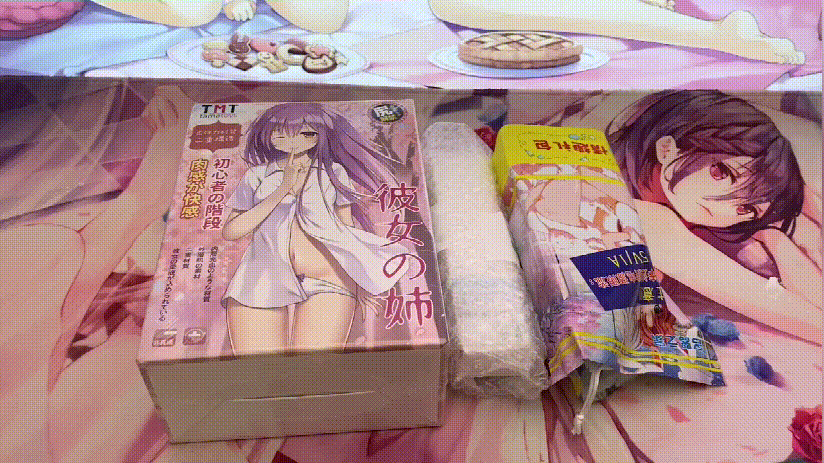 TMT“彼女姐姐”飞机杯评测 – 我拿下女神的秘诀就是它！-萌次元