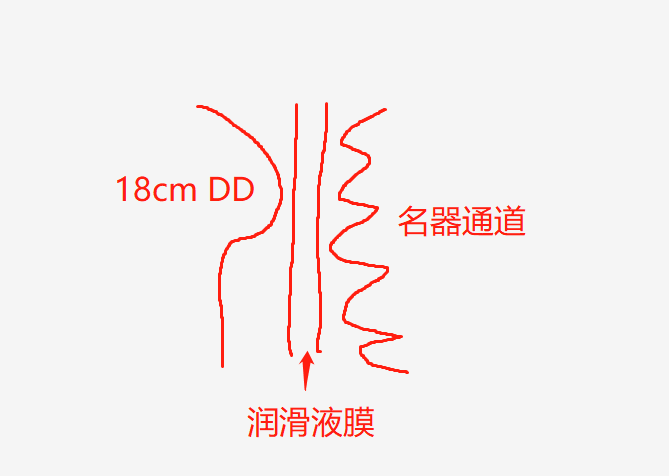 你真的会用润滑液吗？ | 3元到100元，5款润滑油测评大揭秘2