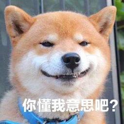 女票不在身边空虚寂寞？有秘密武器就够了-萌次元